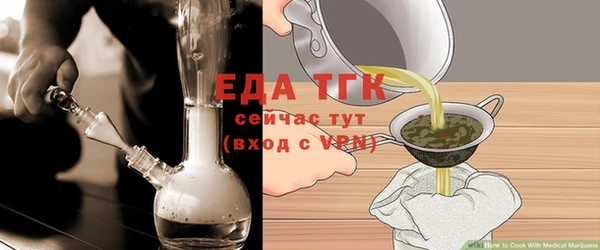хмурый Абаза
