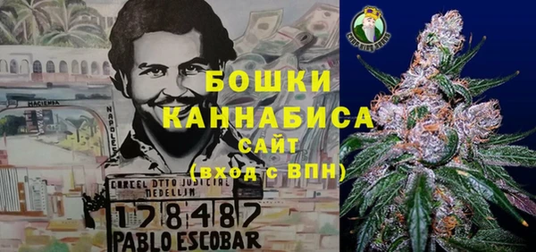 хмурый Абаза