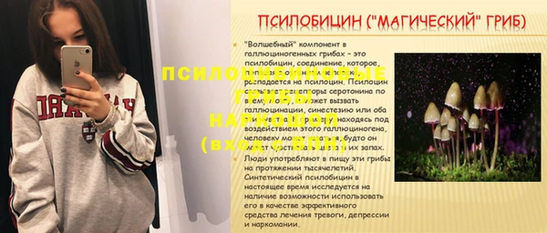 хмурый Абаза