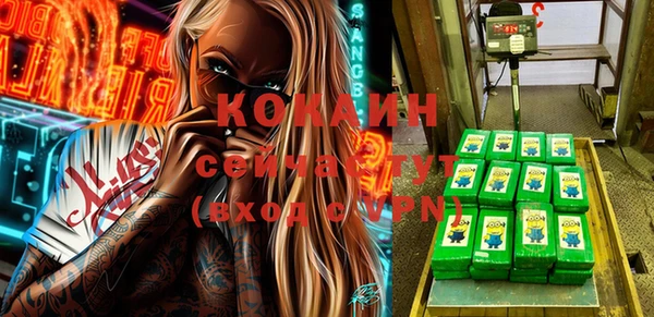 хмурый Абаза