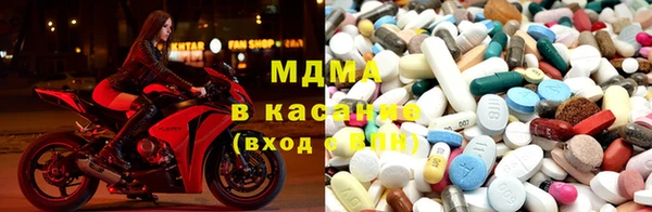хмурый Абаза