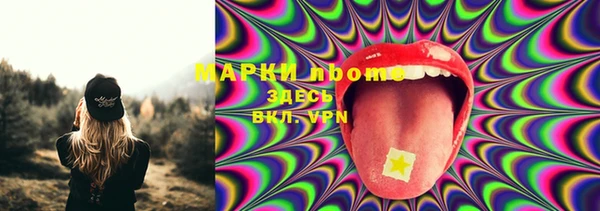 хмурый Абаза