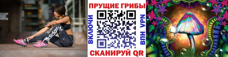 Галлюциногенные грибы GOLDEN TEACHER  наркота  Струнино 